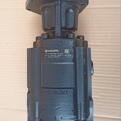 การรับประกันสูง Dieci BHD3119 แฮดรอลิกปั๊ม Casappa 799141AS